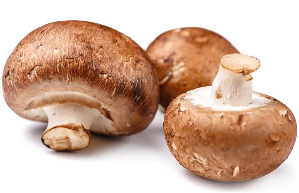 Agaricus Micoimmuno